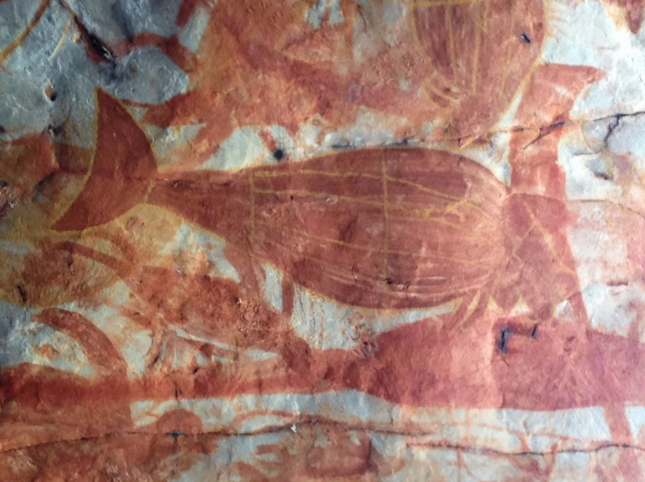 Indigenous dugong painting on Groote Eylandt