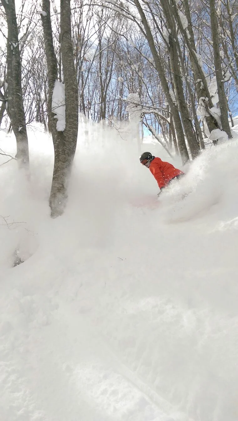 snow board.jpg