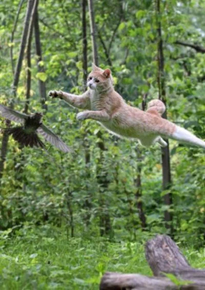 Photo credit: roflzoo.com