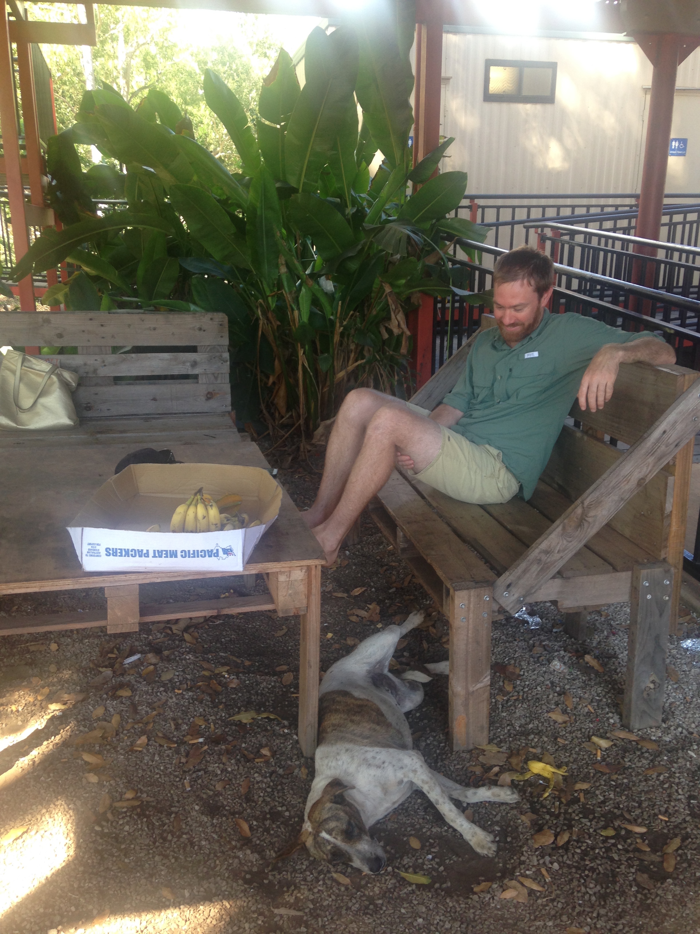 Dogs, Dereks & Decks – a Lesson in Remote Data Collection (June 7, 2016)