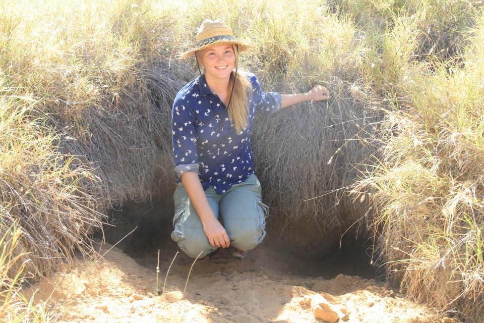 Dr Rachael Collett Conservation biogeography of range restricted and threatened Antechinus species in Queensland