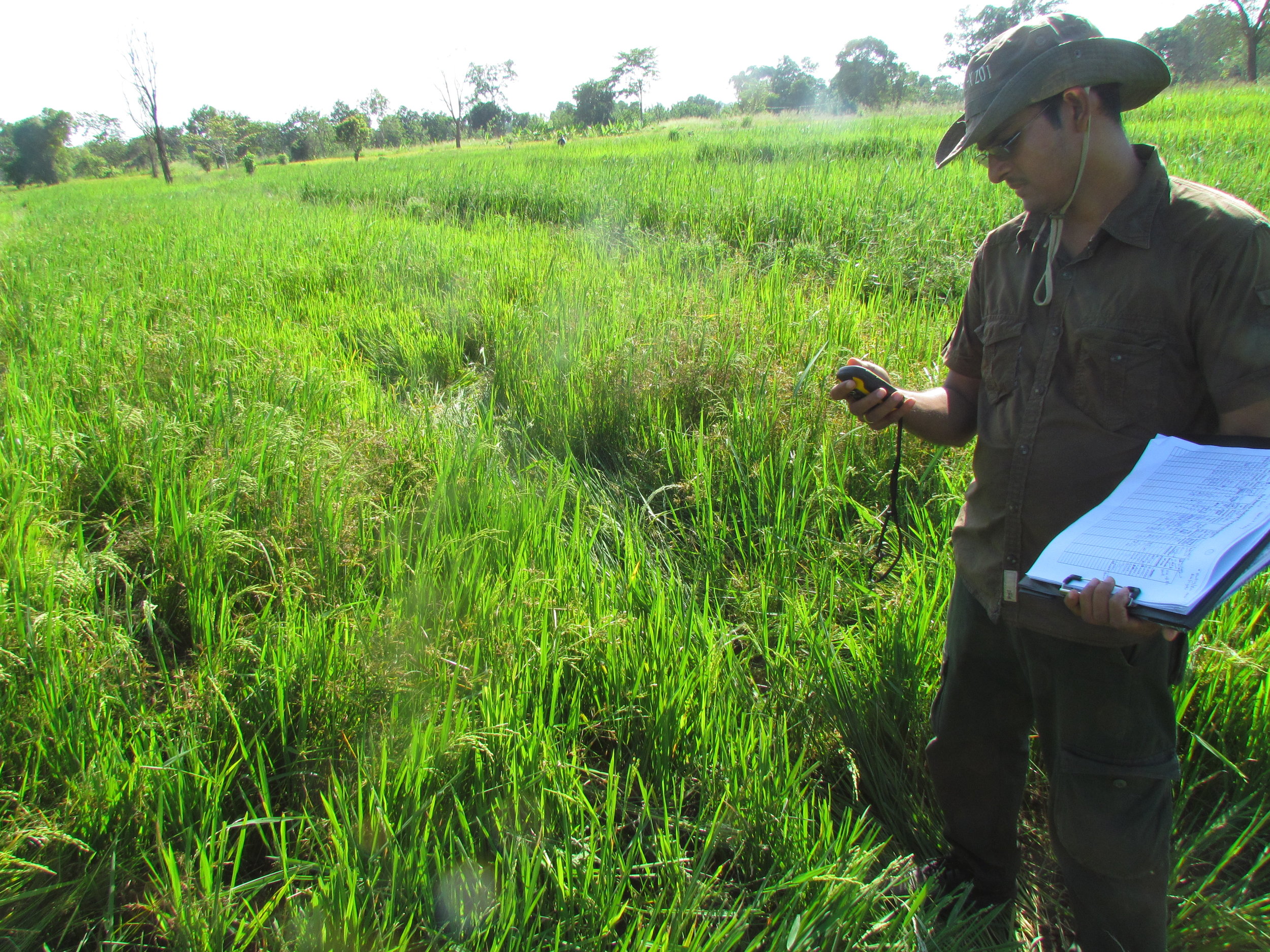 Ashoka monitoring elephant damages to crops in the villages bordering the Udawalawe National Park
