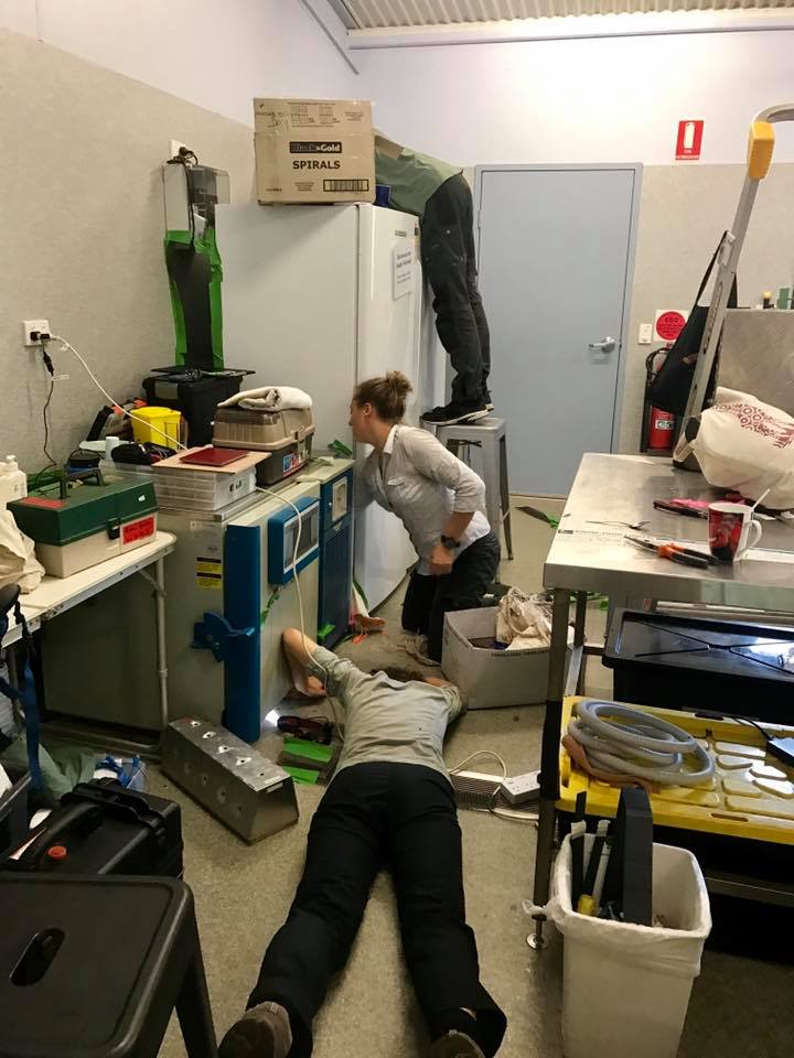 Lab mayhem