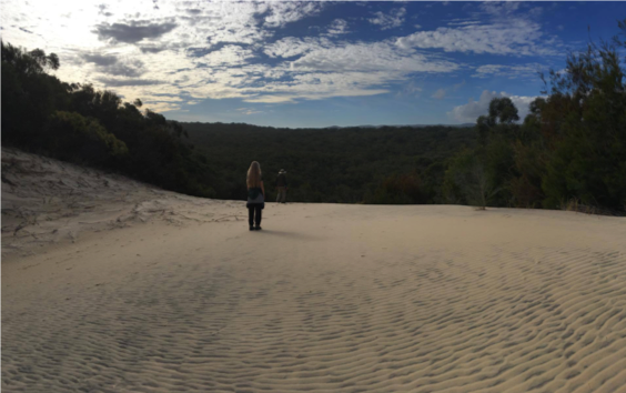 Fraser Island sand blow - Queensland