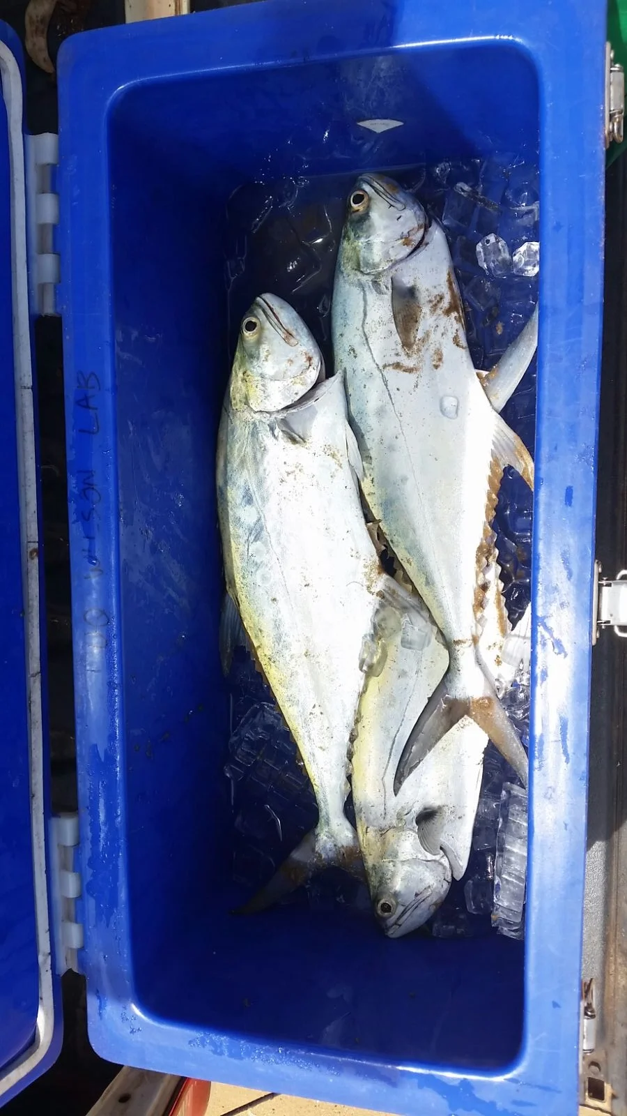 fishing2.jpg
