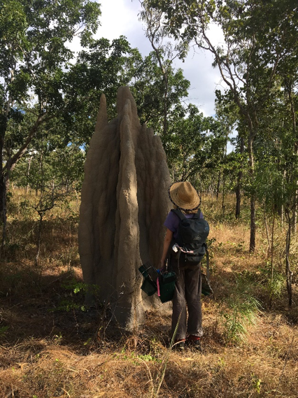 Ellie enjoying the size and grandeur of the termite mounds on island.