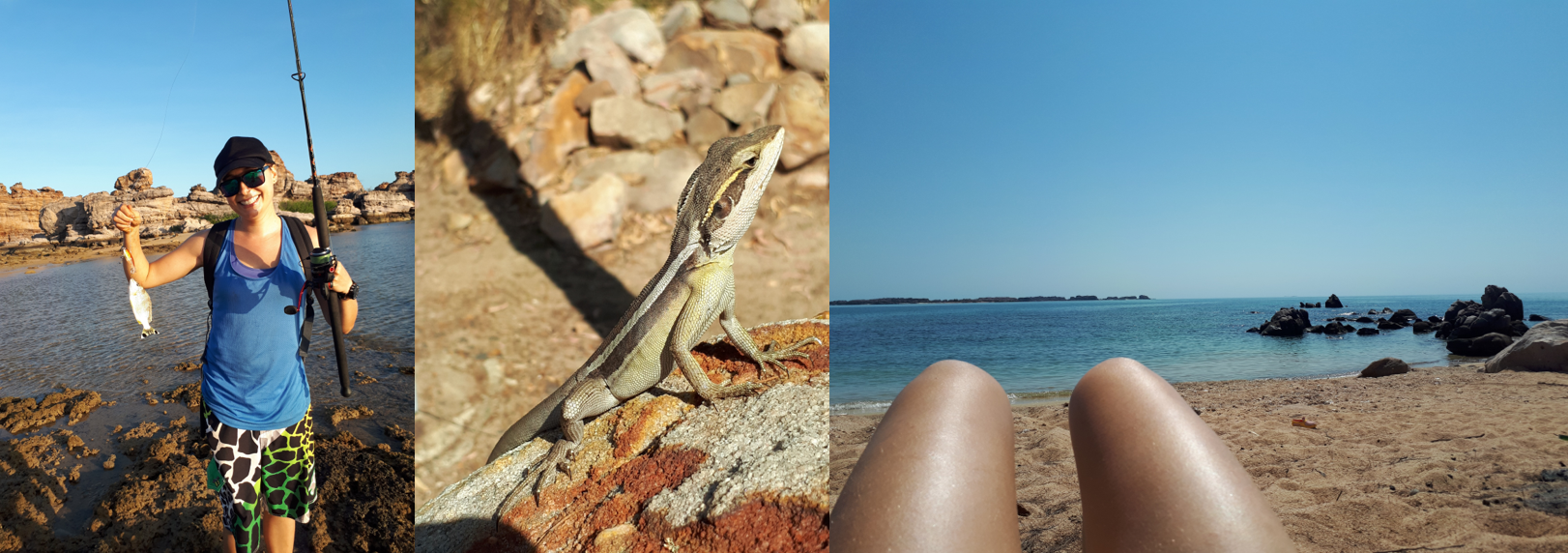 sunbathe.png