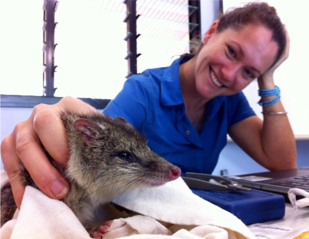 News release in the Anindilyakwa Land Council April newsletter - featuring some of the quoll-ity research from Groote - check it out here
