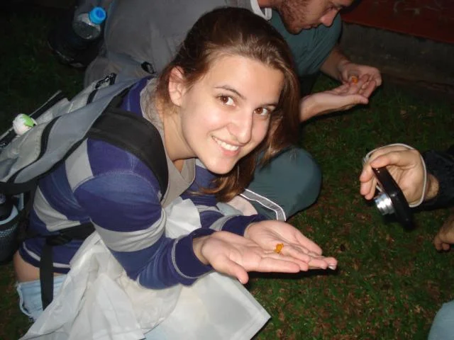 Field work at Serra do Japi, Mata Atlantica Forest, São Paulo, when I got to know these cute little frogs, Brachycephalus sp.