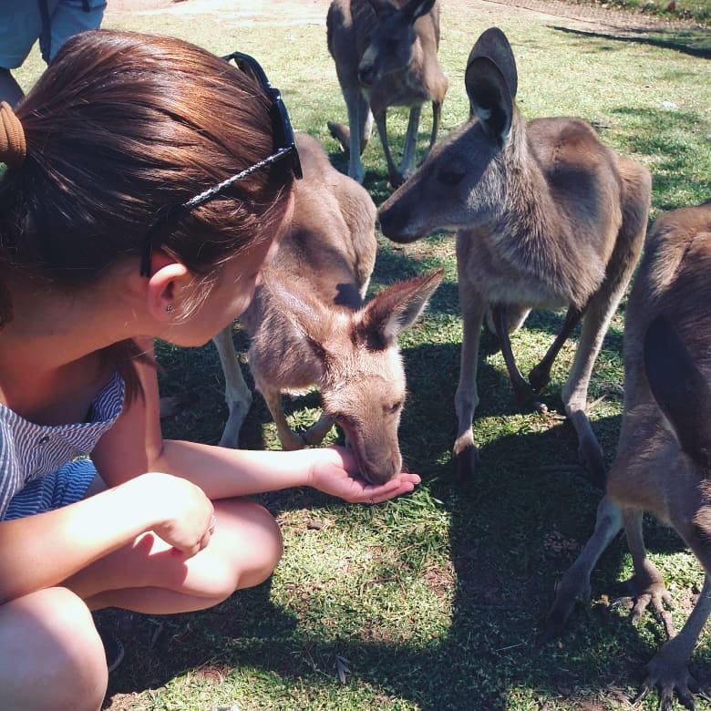 The day I met kangaroos!