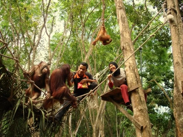 Malacca Zoo volunteering days, Malaysia, Summer break 2009.