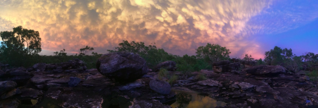Miranda’s latest blog post on the quoll team’s first trip for 2019 is live. Check it out: Bad weather, blue-tongues and baby quolls - it's the start of a new year on Groote .