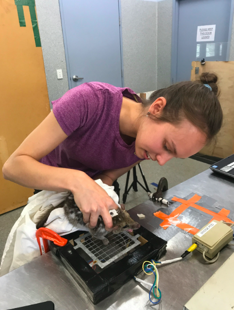 Jess is awarded one of the TOP 3 Presentations at the UQ Advanced Science Undergraduate Research Program wrap up for 2017-2018. Go Jess - the Wilson Lab couldn’t be more proud.