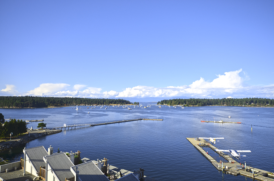 oceanview_oldcity_nanaimo.jpg