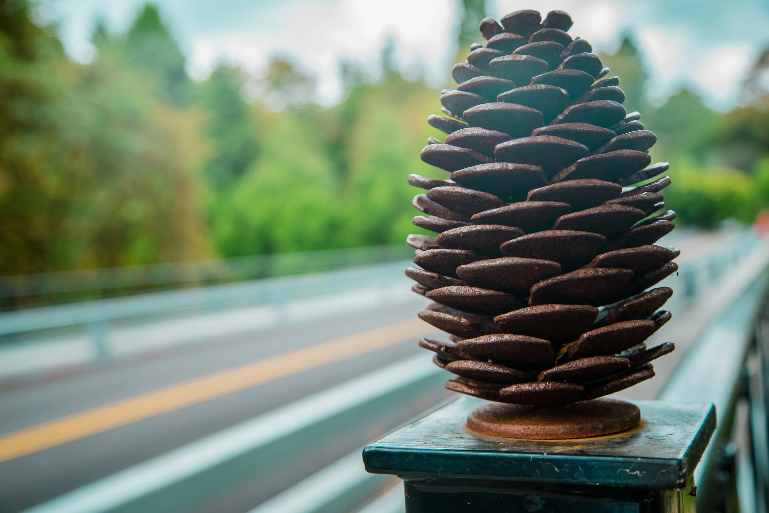  Portland, OR  Sony A7S 