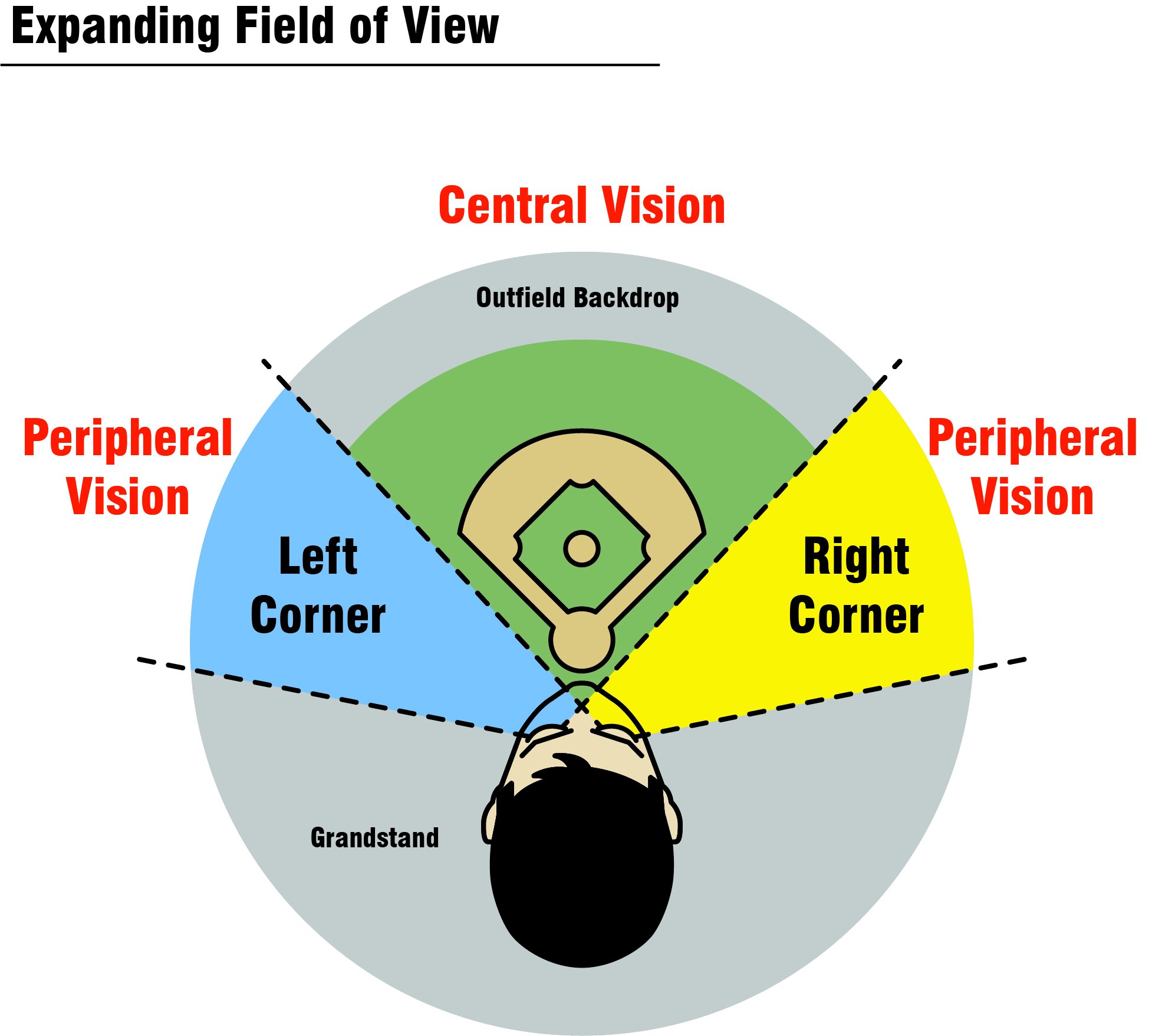 Peripheral Vision 2.jpg