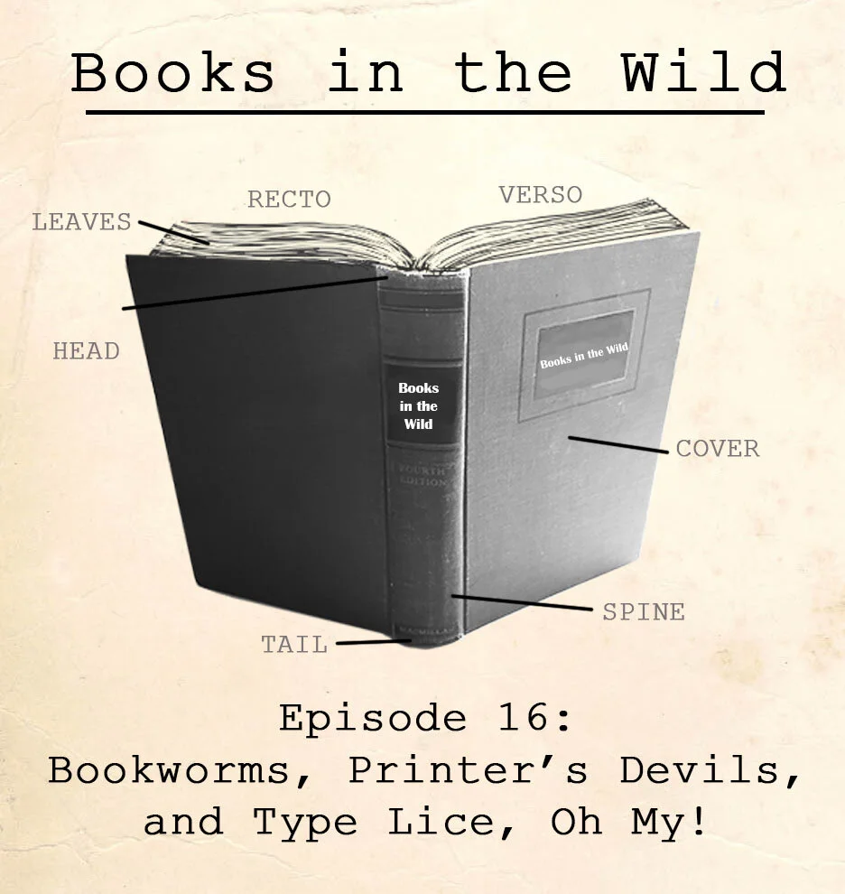 Episode 16: Bookworms, Printer's Devils, and Type Lice, Oh My!