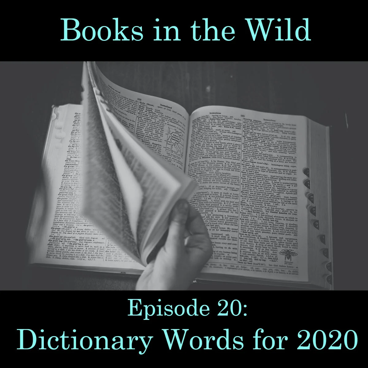 Episode 20: Dictionary Words for 2020