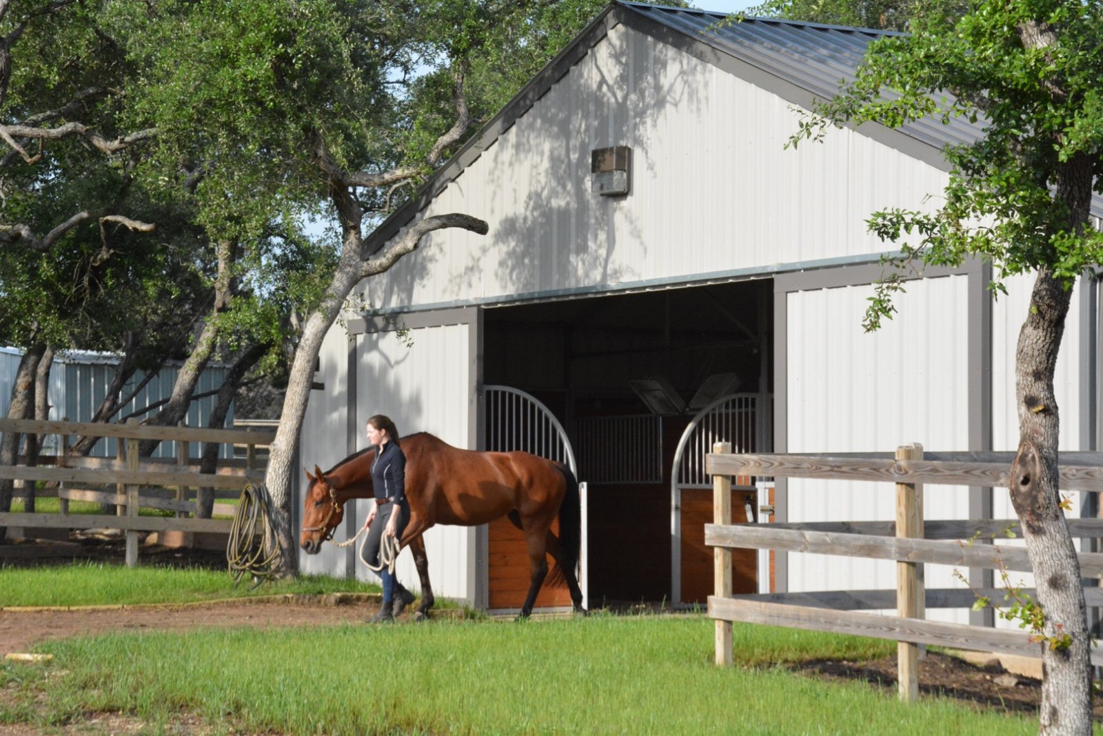Horse boarding in Austin Texas | Coraggio Equestrian | Where to board your horse in Austin