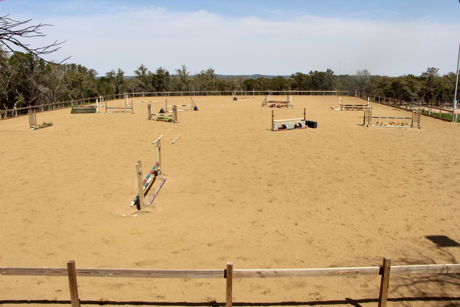 Horse boarding in Austin Texas | Coraggio Equestrian | Where to board your horse in Austin