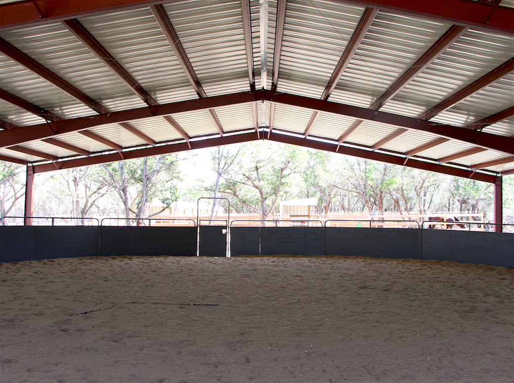 Horse boarding in Austin Texas | Coraggio Equestrian | Where to board your horse in Austin