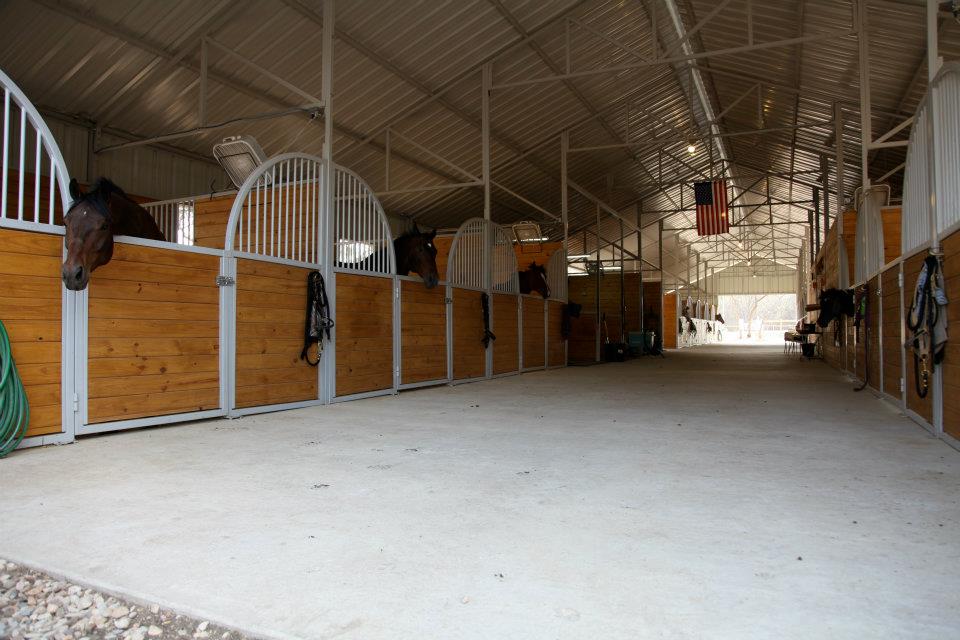 Horse boarding in Austin Texas | Coraggio Equestrian | Where to board your horse in Austin