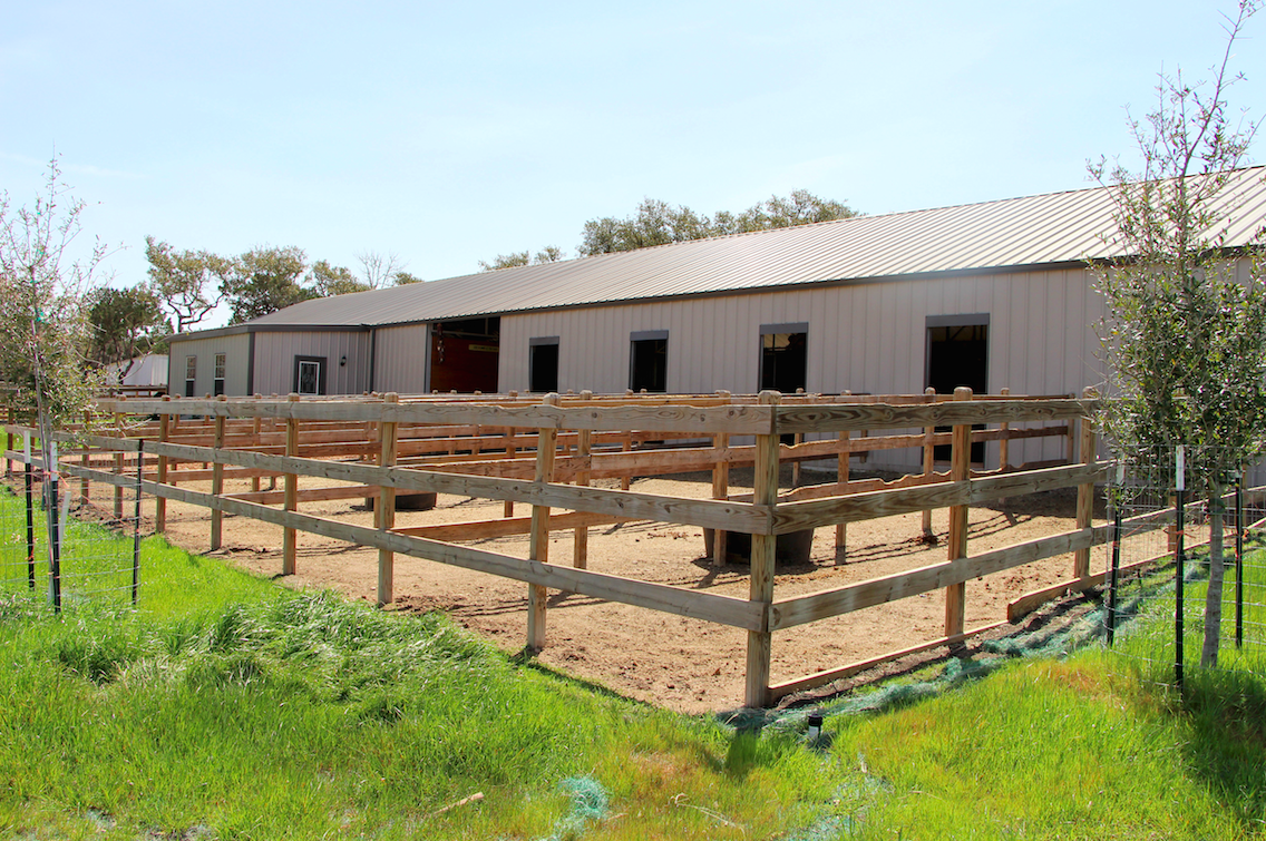 Horse boarding in Austin Texas | Coraggio Equestrian | Where to board your horse in Austin