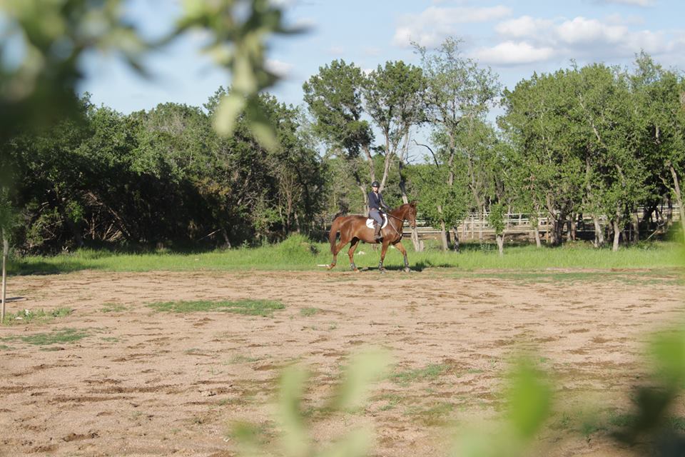 Horse boarding in Austin Texas | Coraggio Equestrian | Where to board your horse in Austin