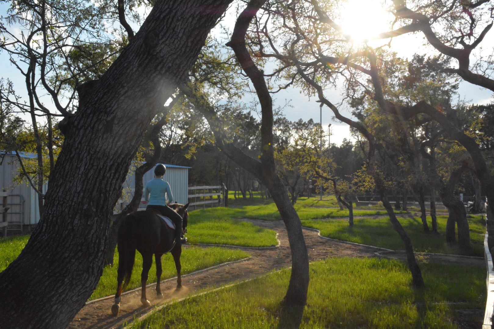 Horse boarding in Austin Texas | Coraggio Equestrian | Where to board your horse in Austin