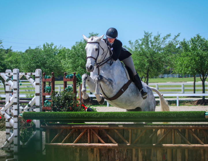 Horses For Sale/Lease Coraggio Equestrian