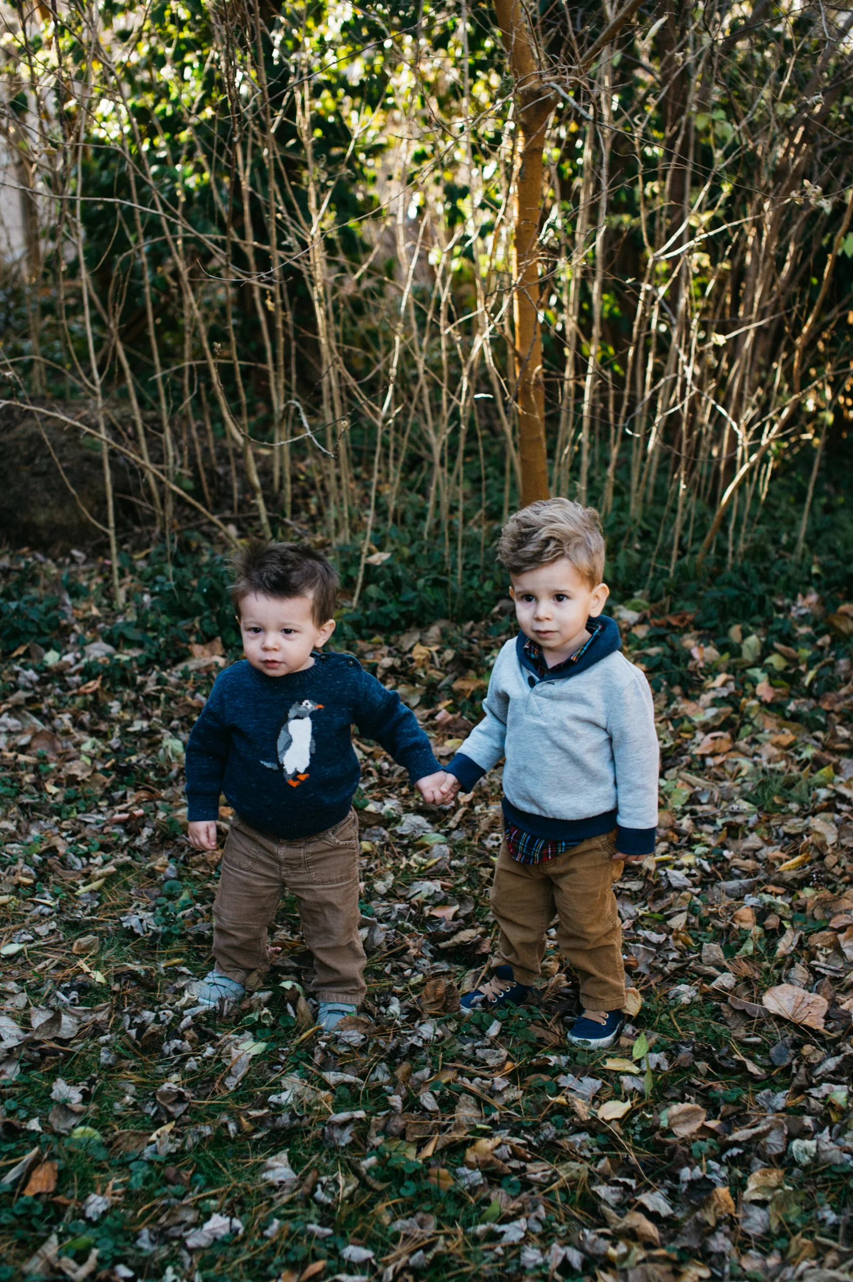 The Crawshaws-10-2.jpg