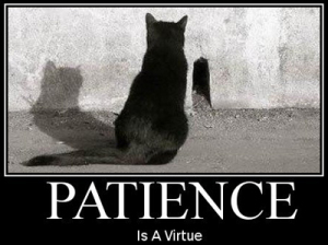 Patience is a Virtue - Refresh, Revive, Renew