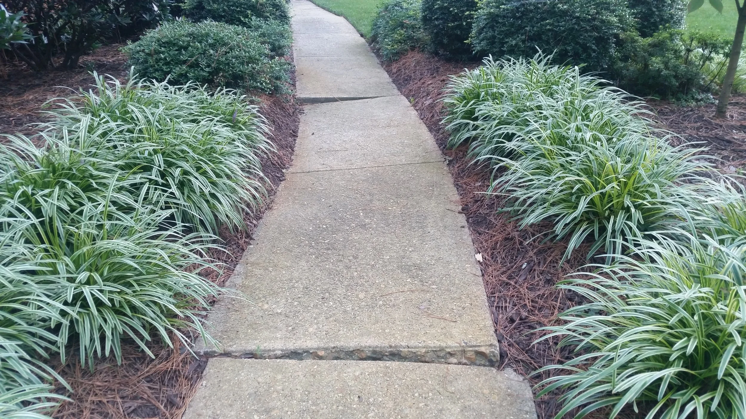 unsafe_uneven_sidewalk.jpg