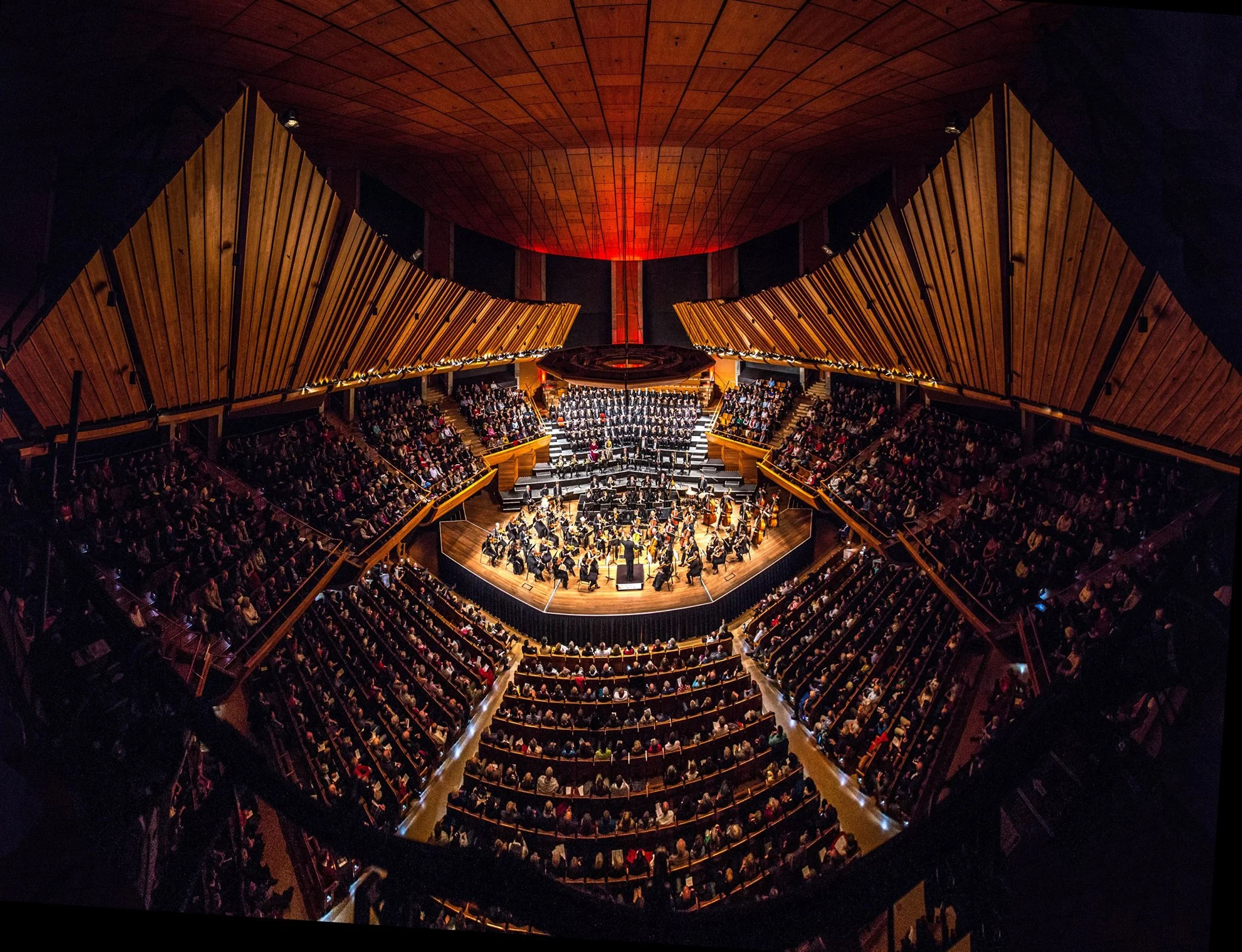 Photo by Orchestra Wellington
