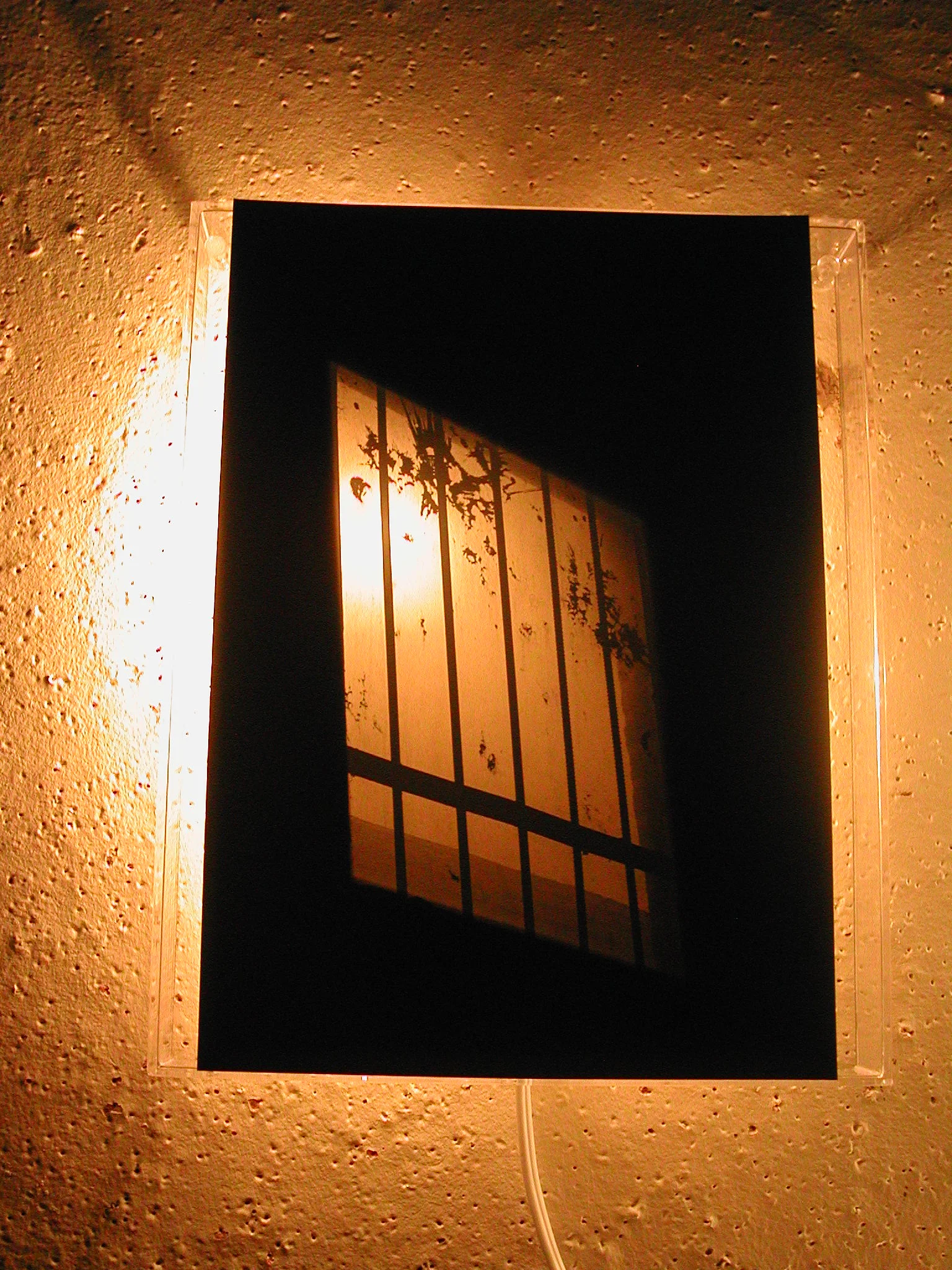 backlit windows 1.JPG