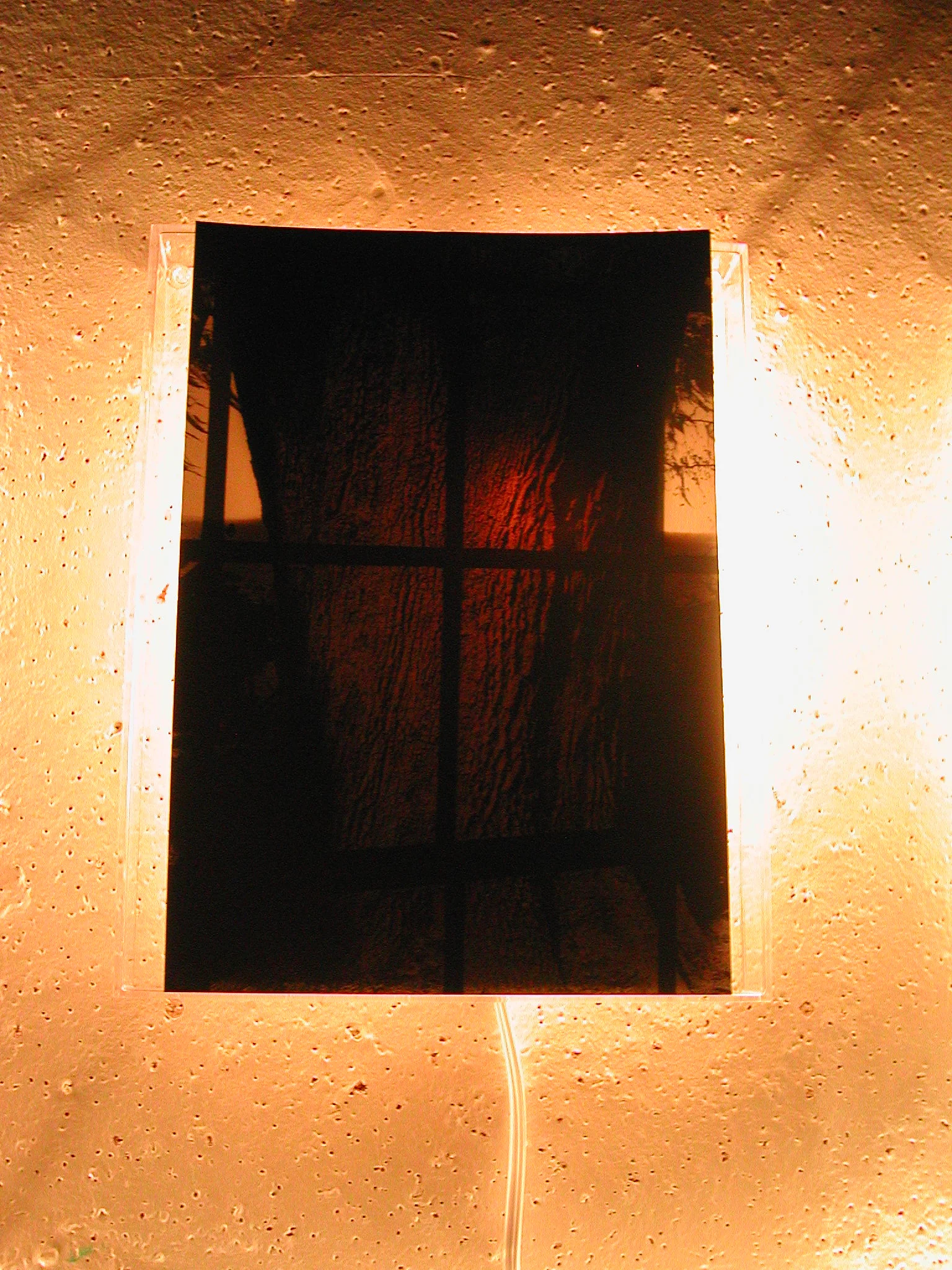 backlit windows 4.JPG