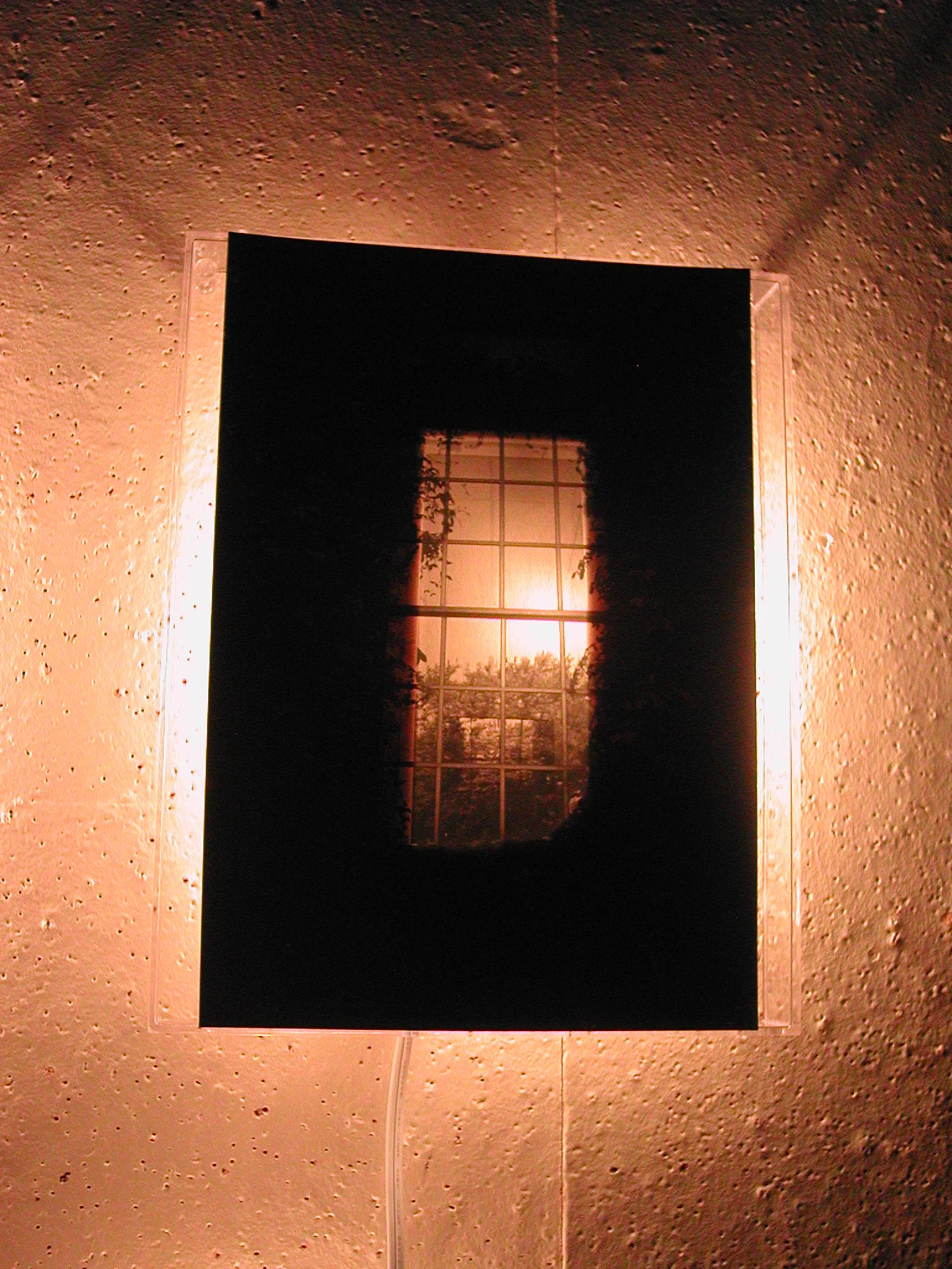 backlit windows 6.JPG