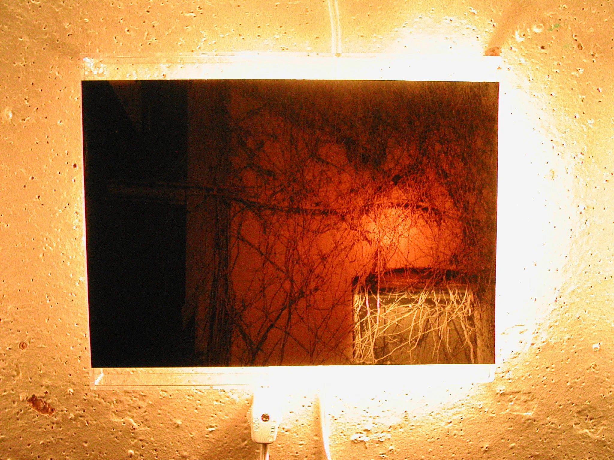 backlit windows 8.JPG