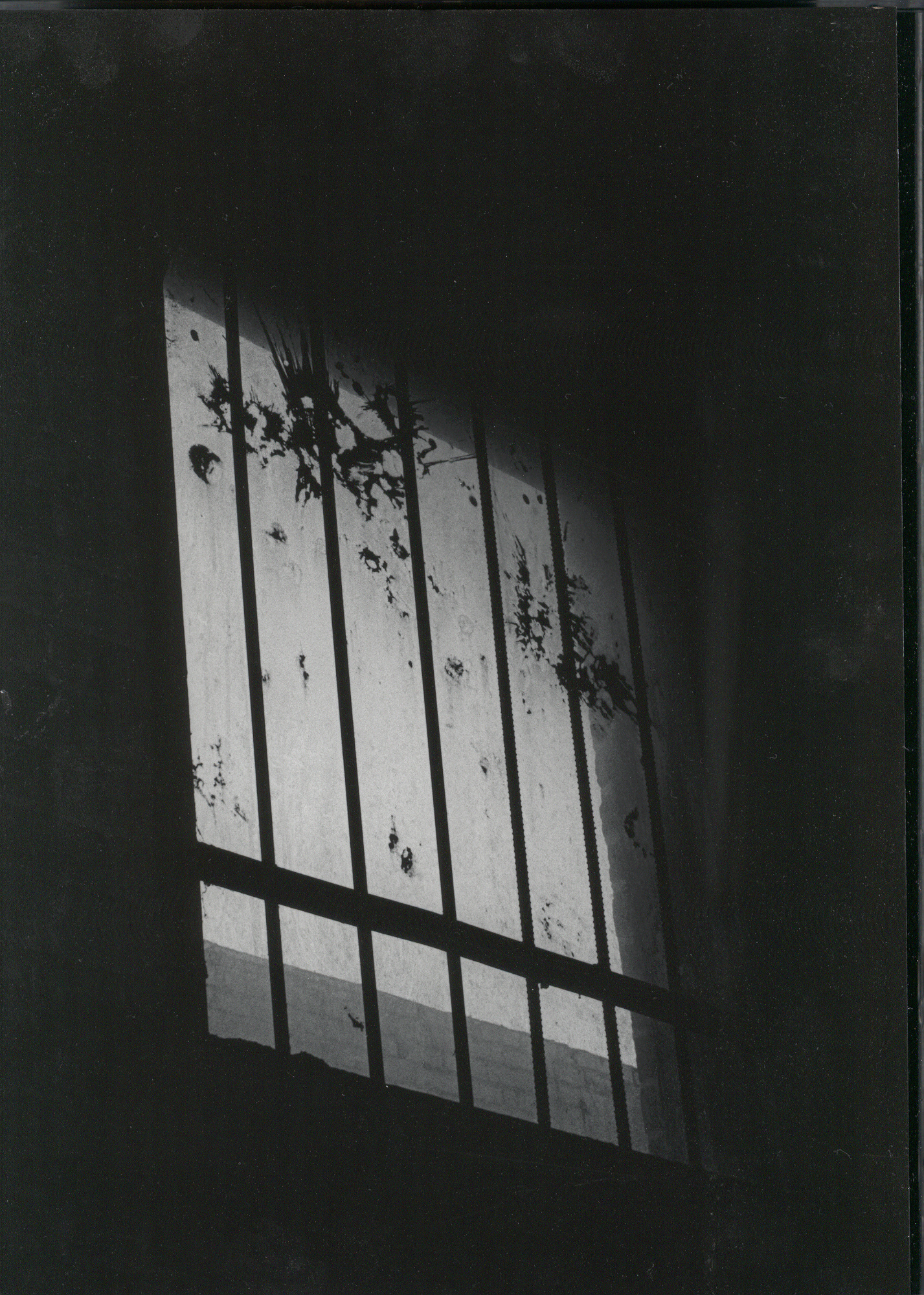 window series 1.jpg
