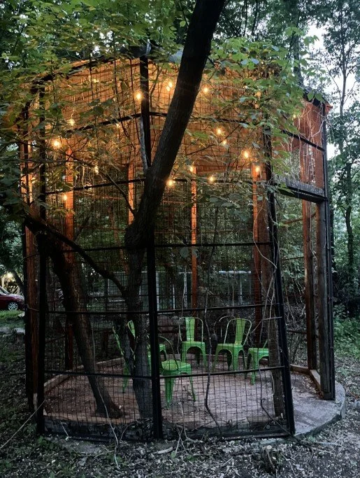 GTF monkey cage.jpg