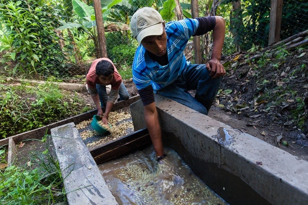 Nicaragua San Juan del Rio Coco - processing (2).jpg