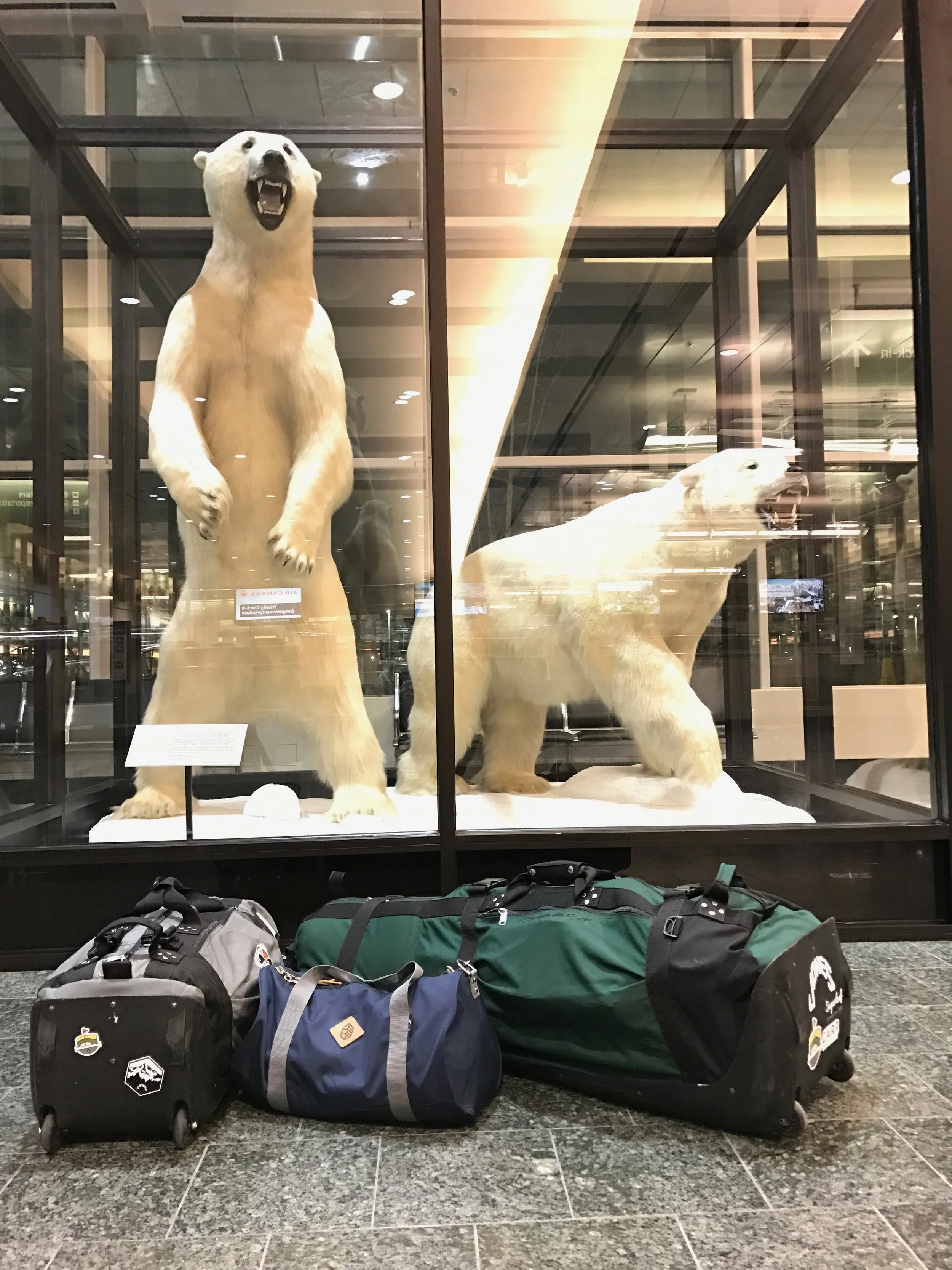 Have clubs will travel. 