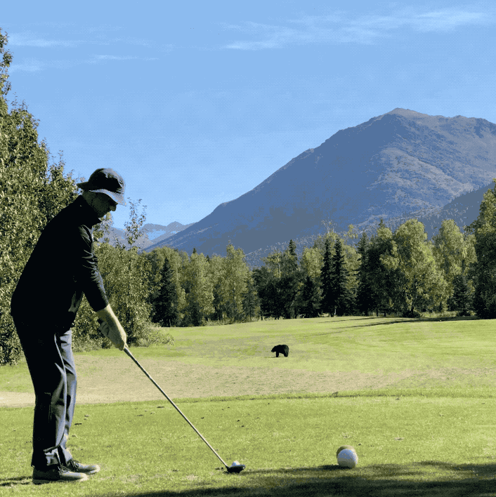 Fore Bear!