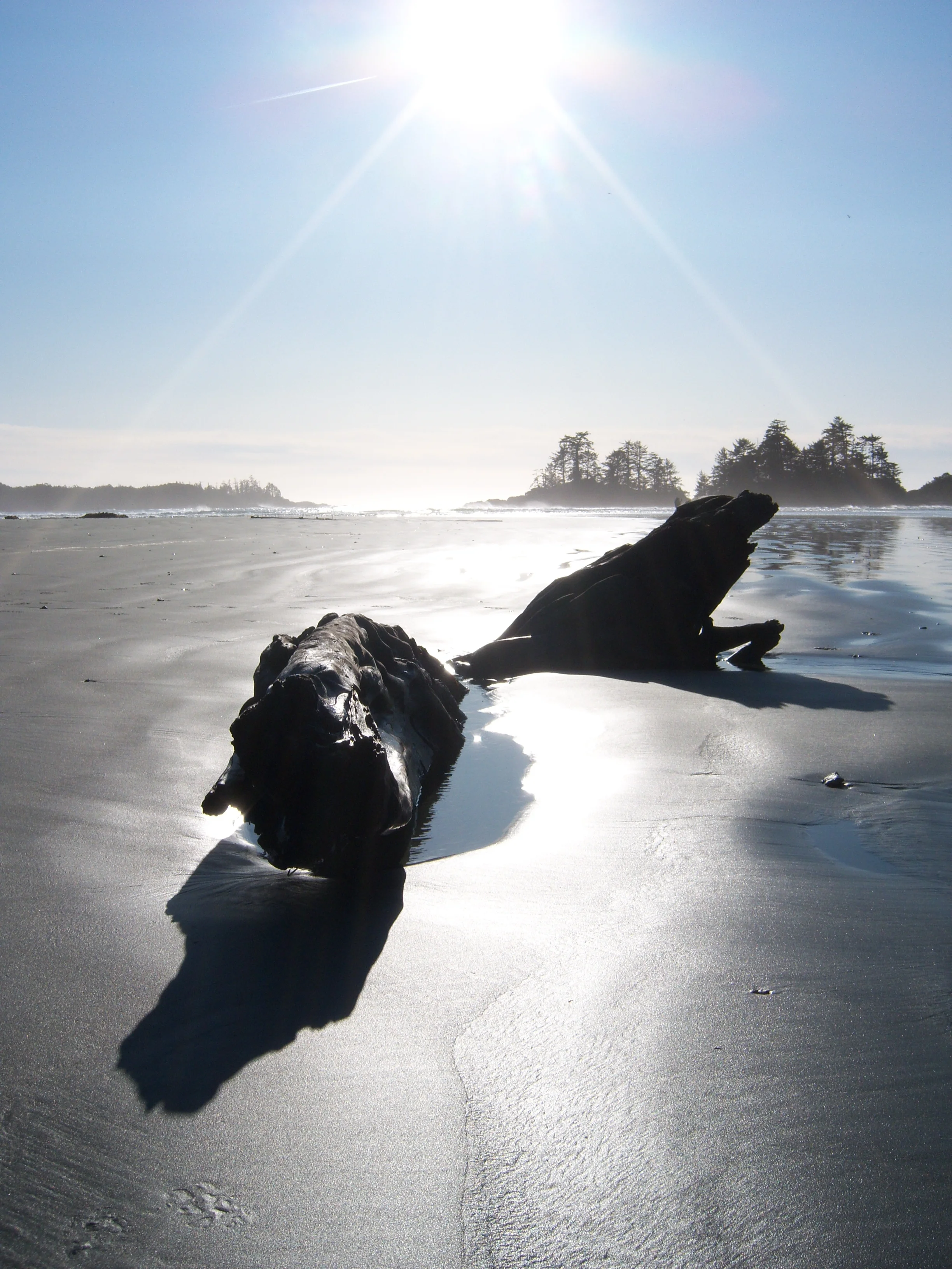 Chesterman Junction.JPG