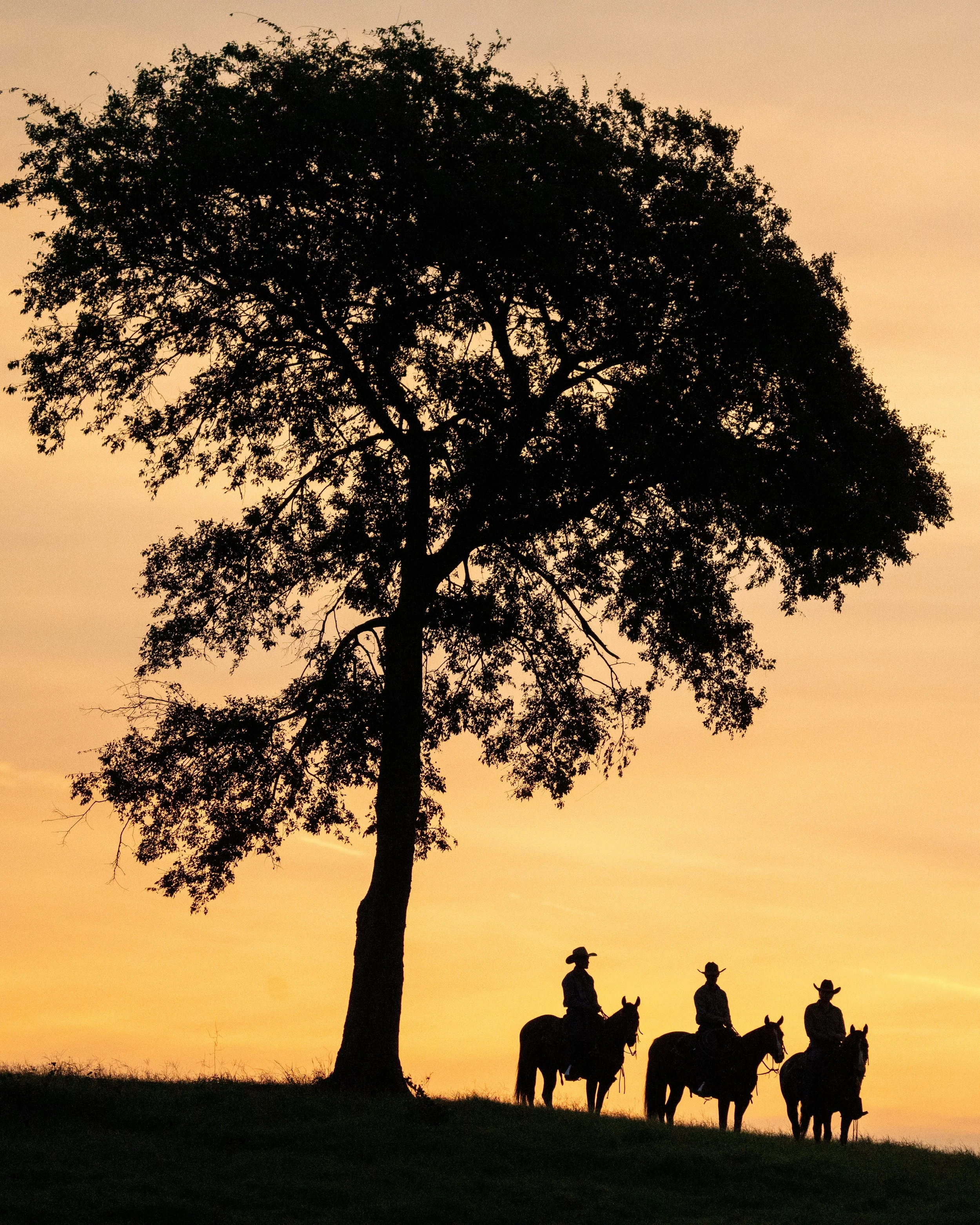  Cowboys at sunrise by Texas based photographer Jason Connel 