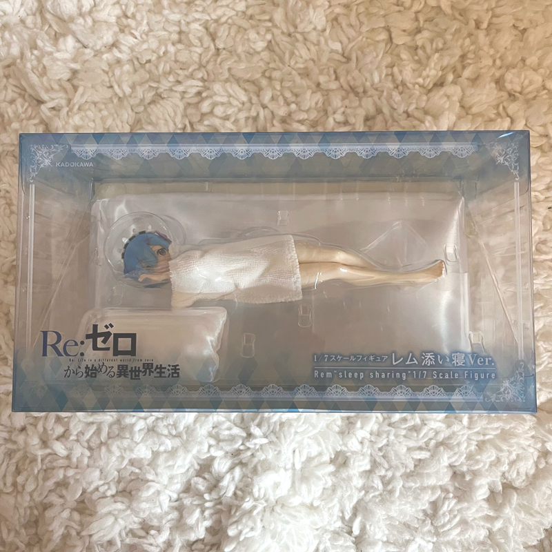rem1.png
