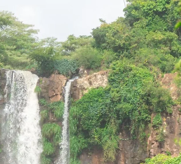 Report Meeting about Providence of South America