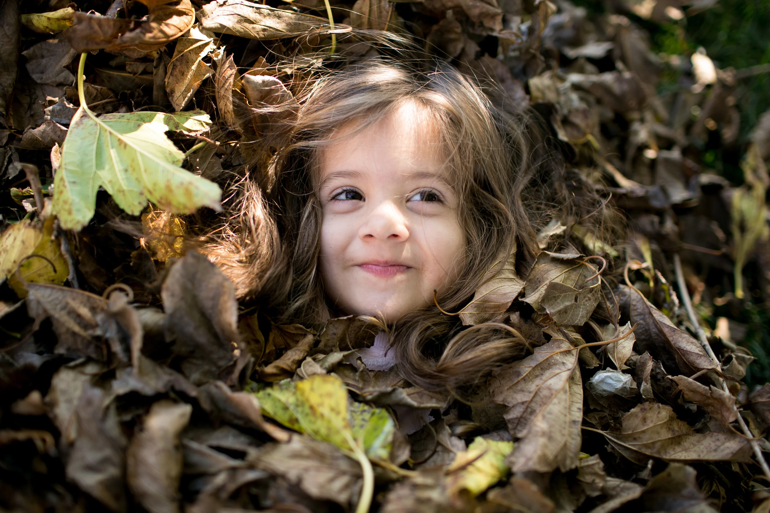 Leaves-4.jpg