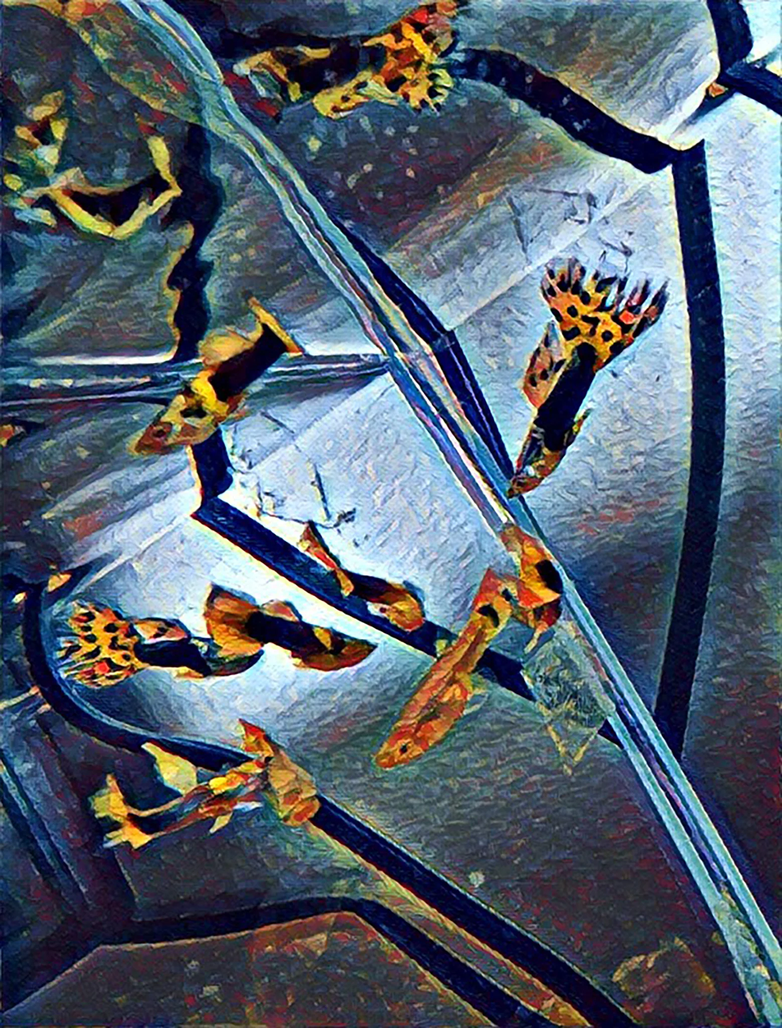 guppies.jpg