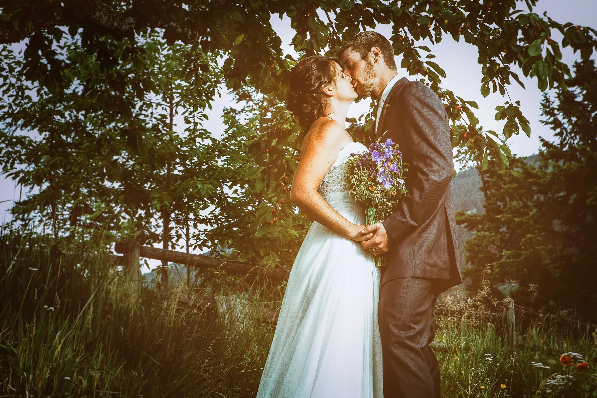 bride_groom_under_tree-1.jpg